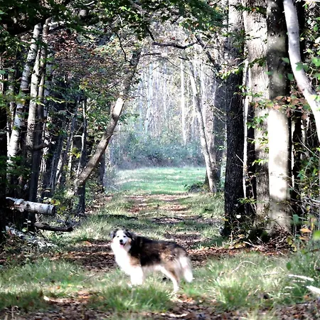 La Farm stay Connigis