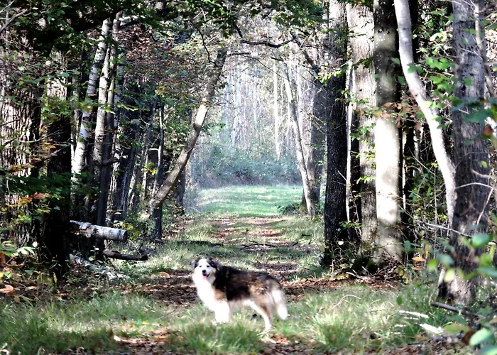 La Farm stay Connigis